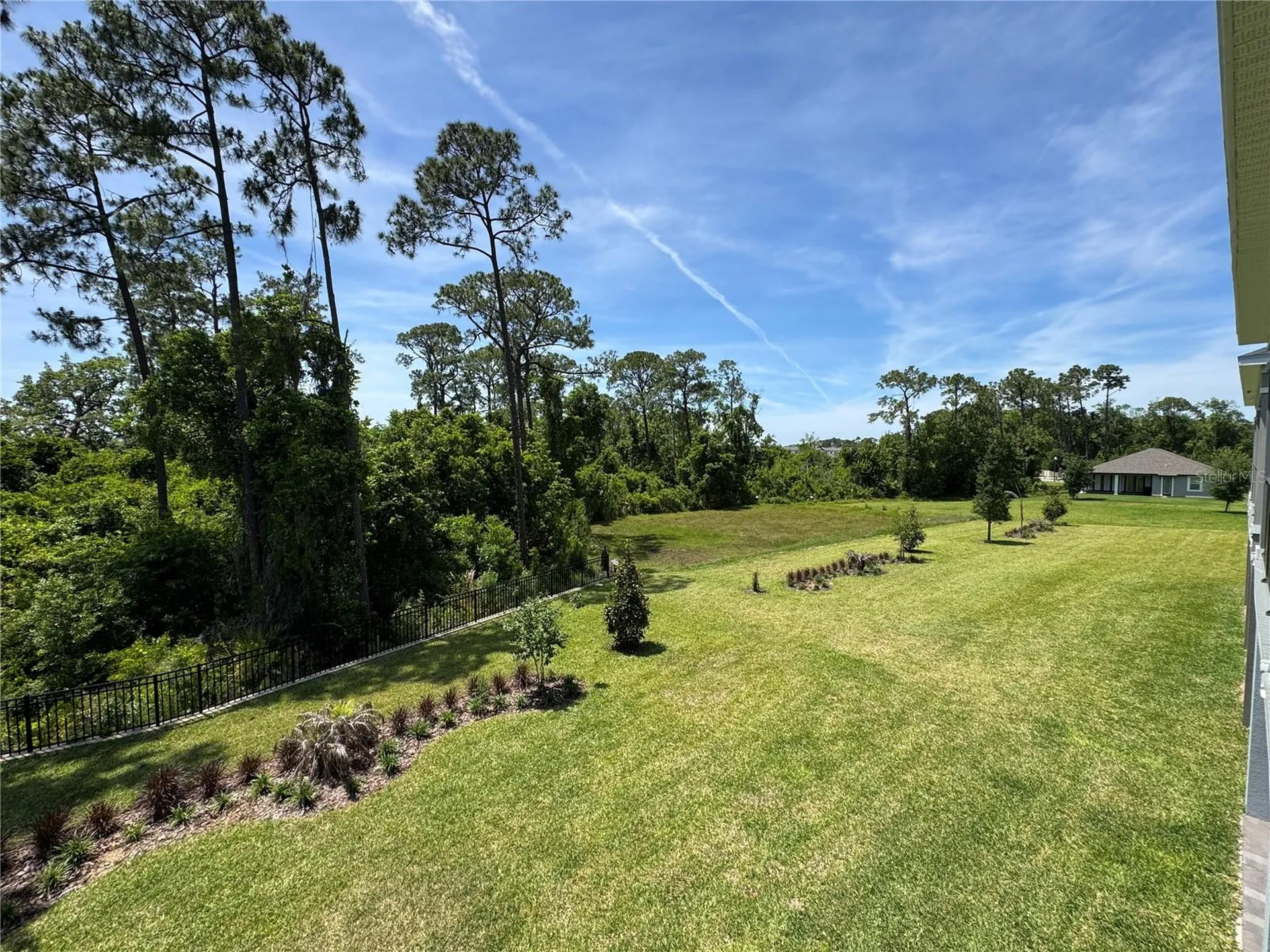 17342 Glossy Pomelo Way Winter Garden FL 34787