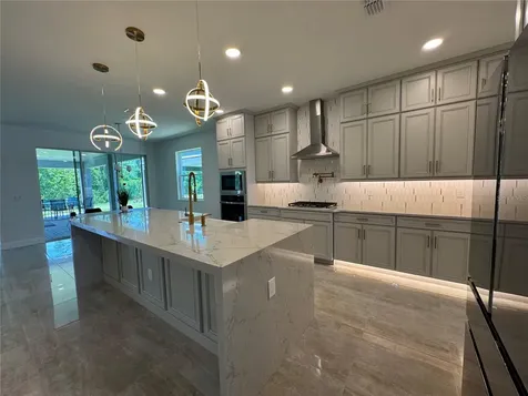 17342 Glossy Pomelo Way Winter Garden FL 34787