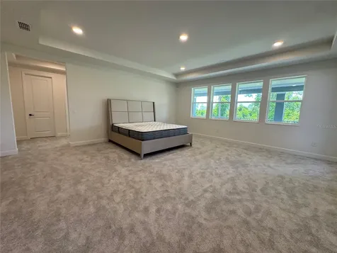 17342 Glossy Pomelo Way Winter Garden FL 34787
