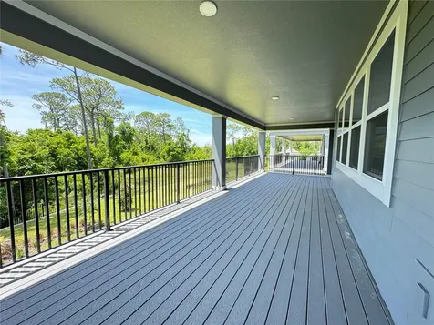 17342 Glossy Pomelo Way Winter Garden FL 34787