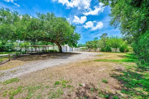 175 Riviere Road Palm Harbor FL 34683