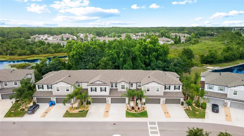 1646 Roseville Street Lutz FL 33549