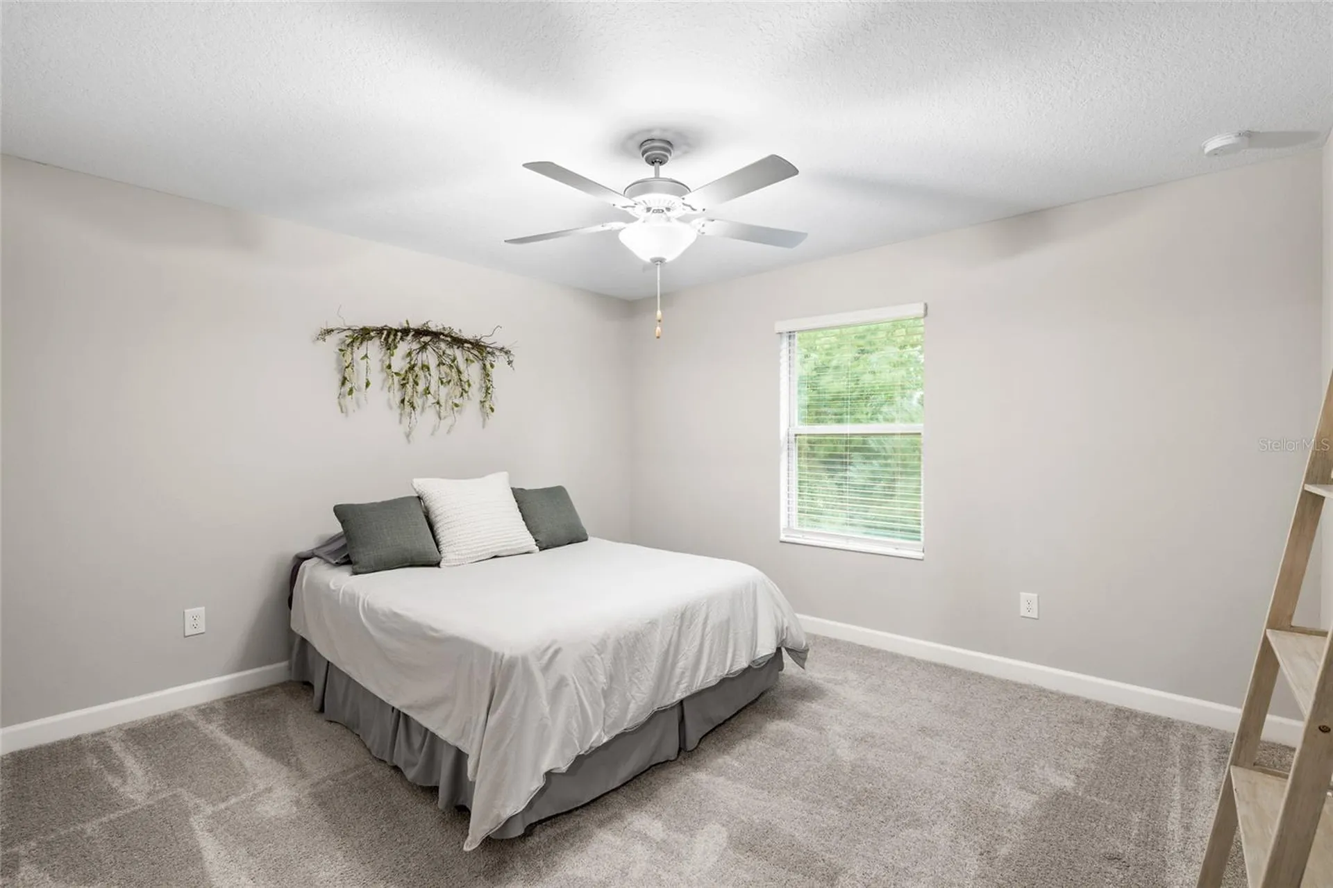 1646 Roseville Street Lutz FL 33549