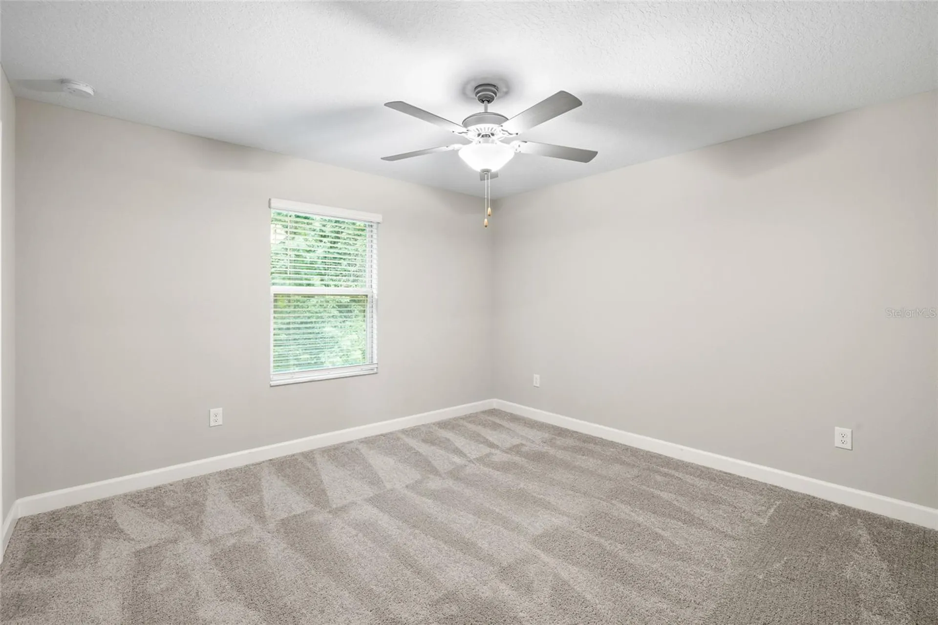1646 Roseville Street Lutz FL 33549