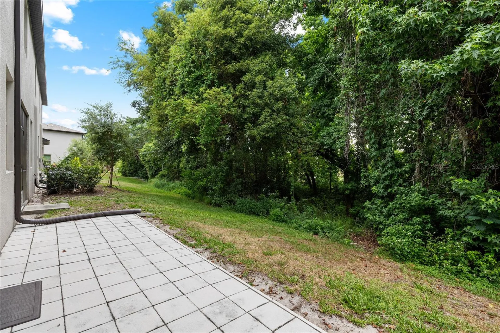 1646 Roseville Street Lutz FL 33549
