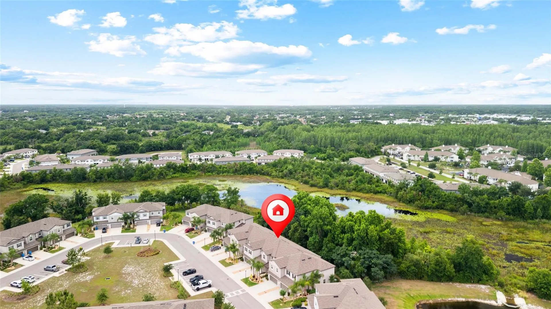 1646 Roseville Street Lutz FL 33549