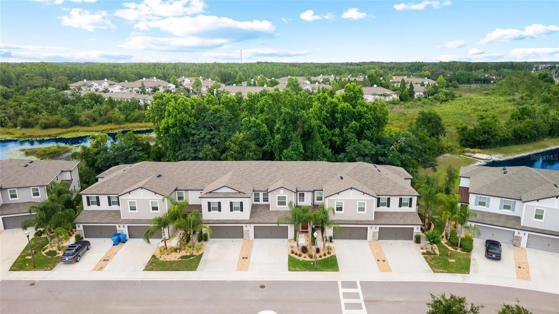1646 Roseville Street Lutz FL 33549
