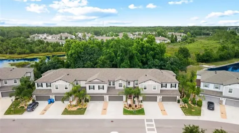1646 Roseville Street Lutz FL 33549