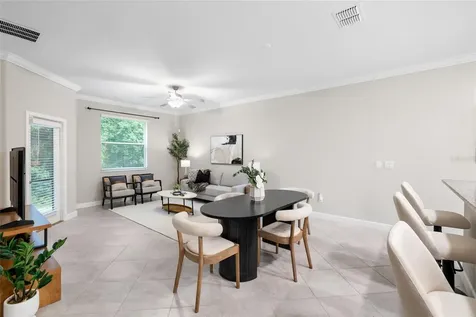 1646 Roseville Street Lutz FL 33549