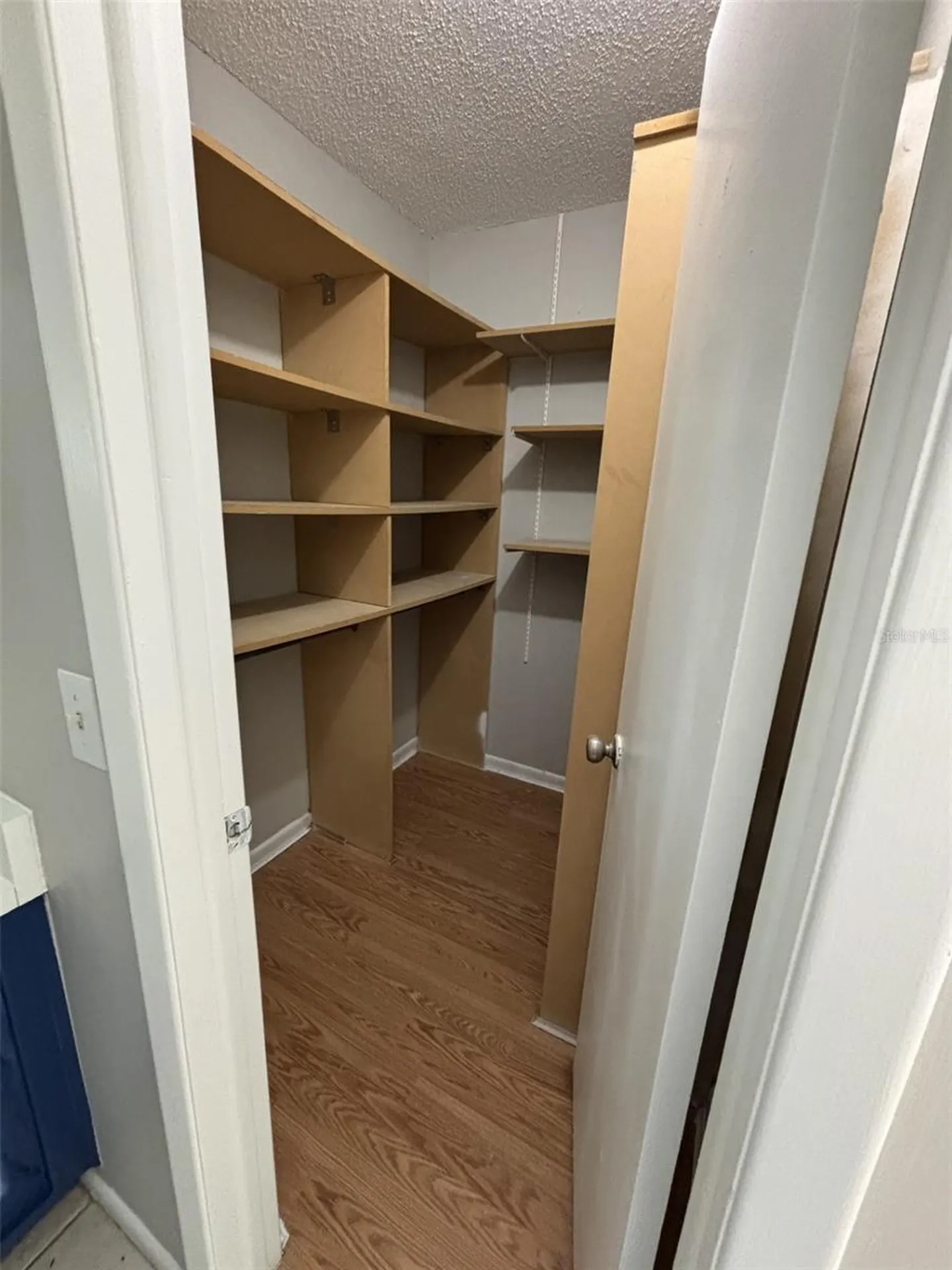 10307 Parkcrest Drive Tampa FL 33624