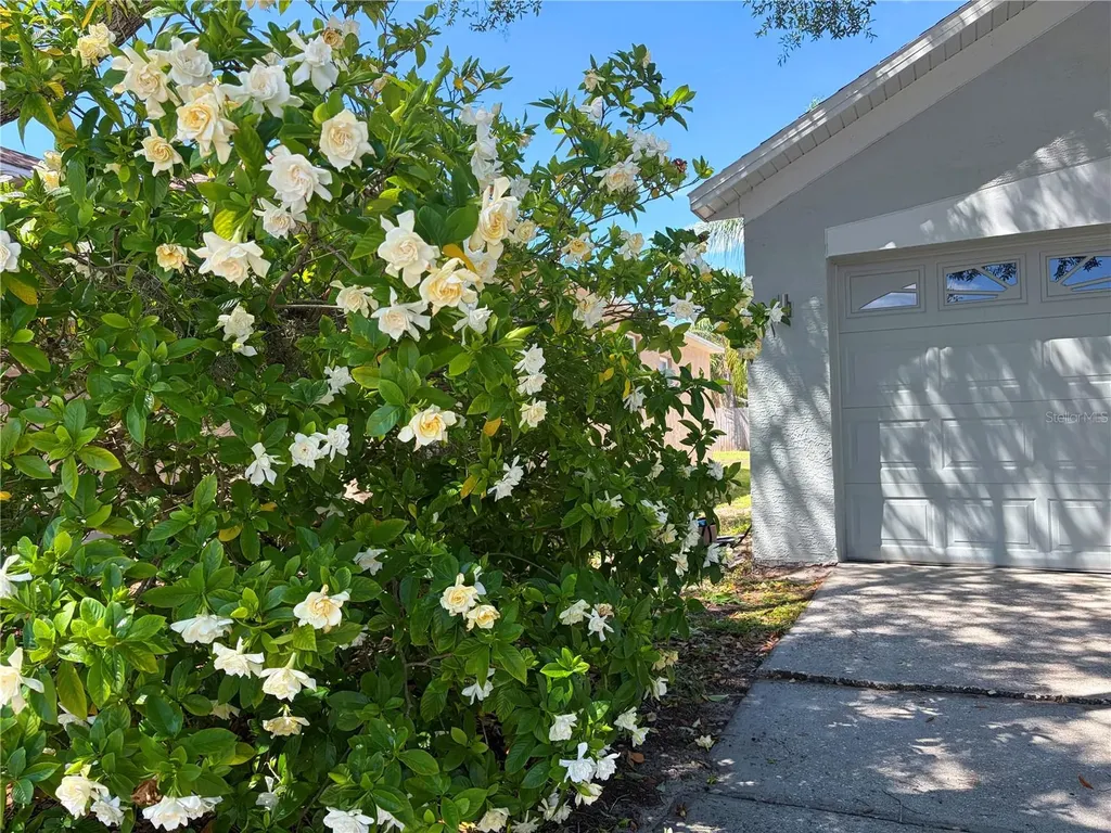 10327 Goldenbrook Way Tampa FL 33647