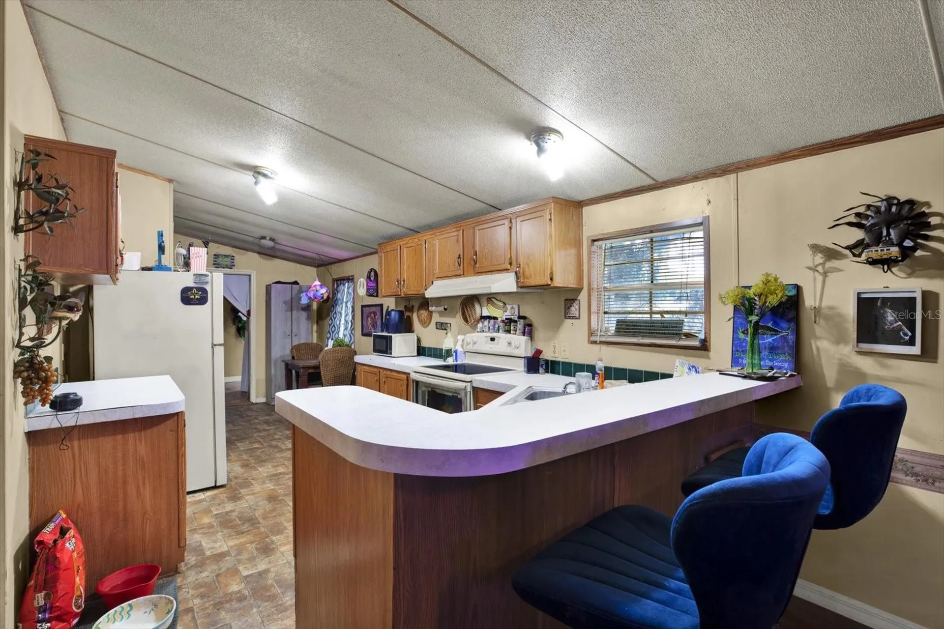 3642 Kalman Drive Zephyrhills FL 33541