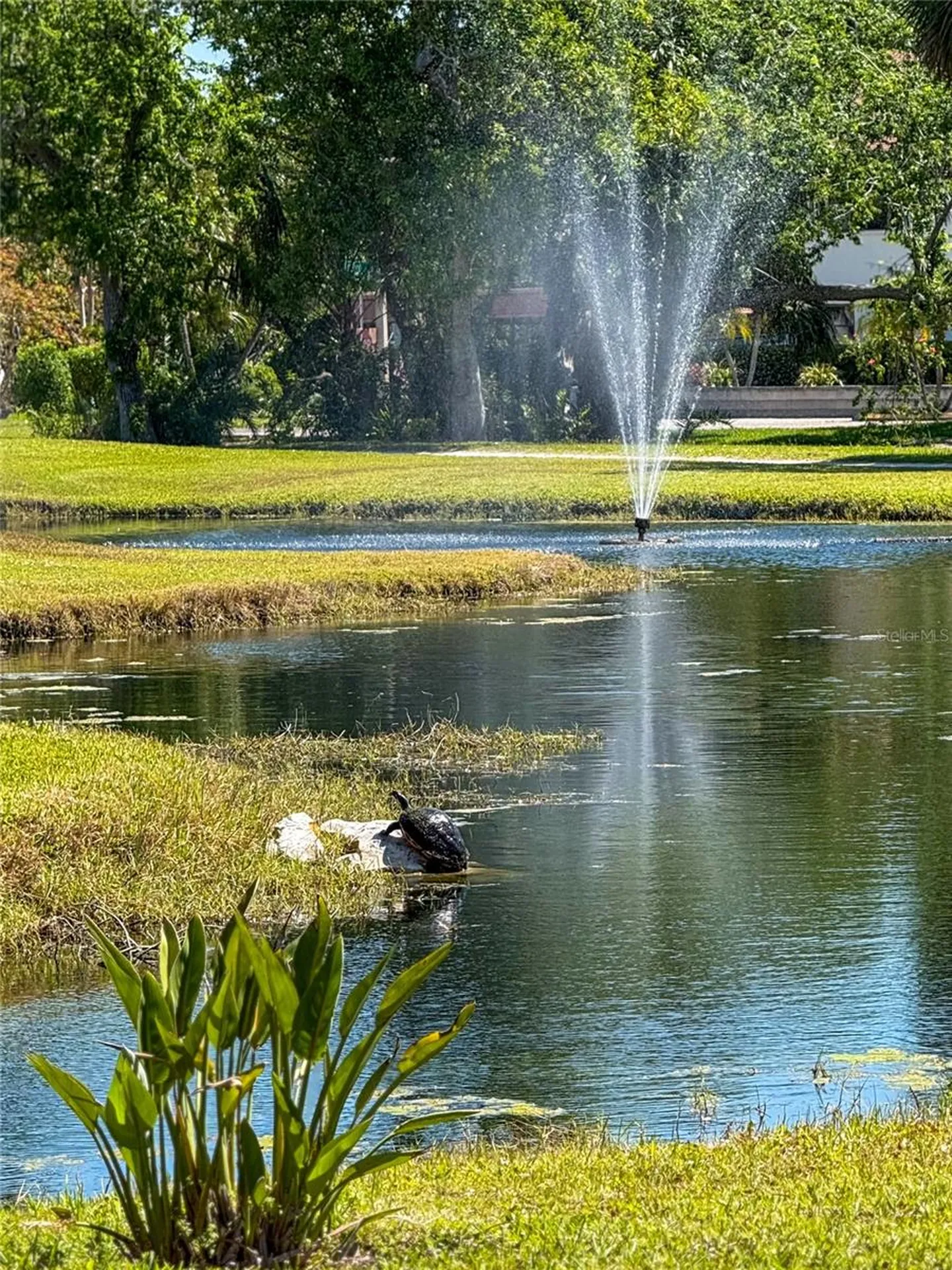 6064 Fairway Lane Bradenton FL 34210