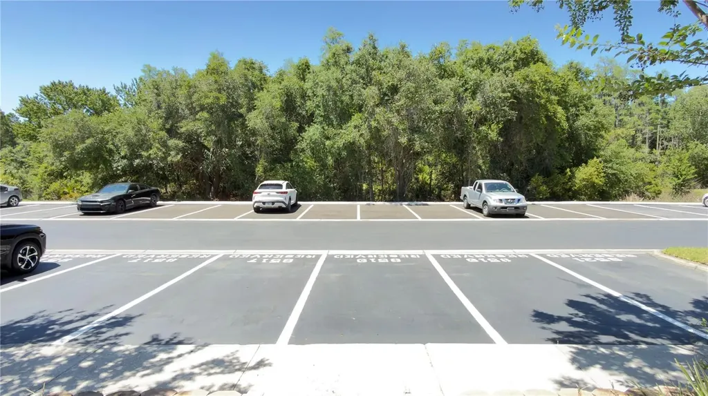 8519 Trail Wind Drive Tampa FL 33647
