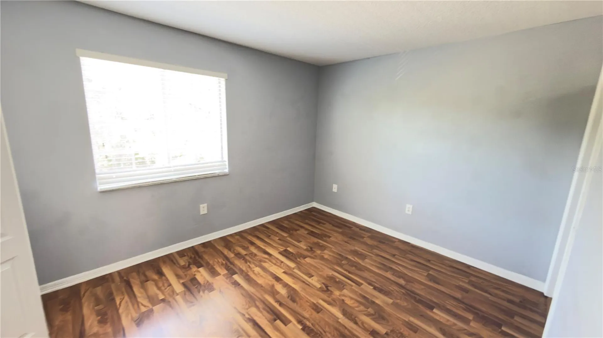 8519 Trail Wind Drive Tampa FL 33647