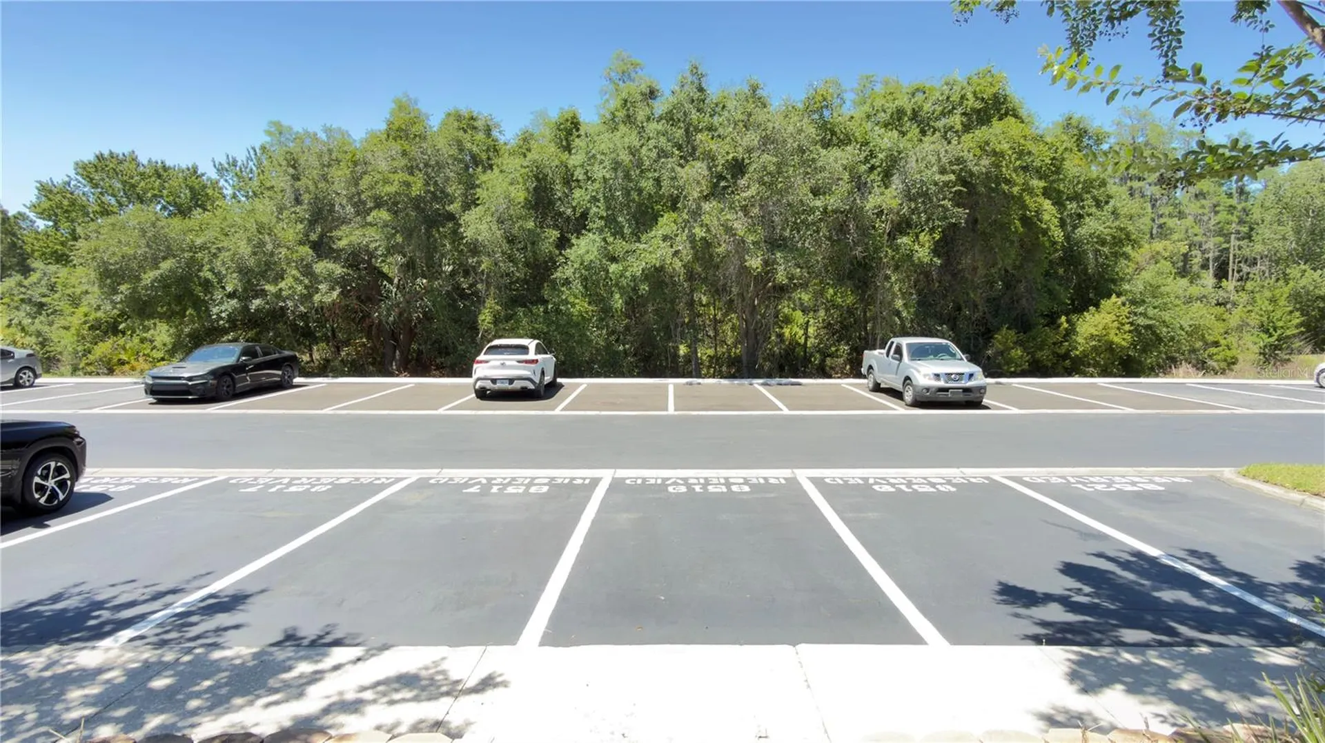 8519 Trail Wind Drive Tampa FL 33647