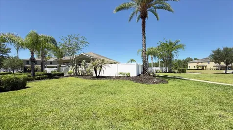 8519 Trail Wind Drive Tampa FL 33647