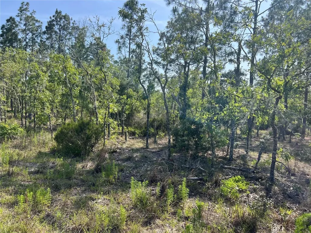 NE 151st Avenue Williston FL 32696
