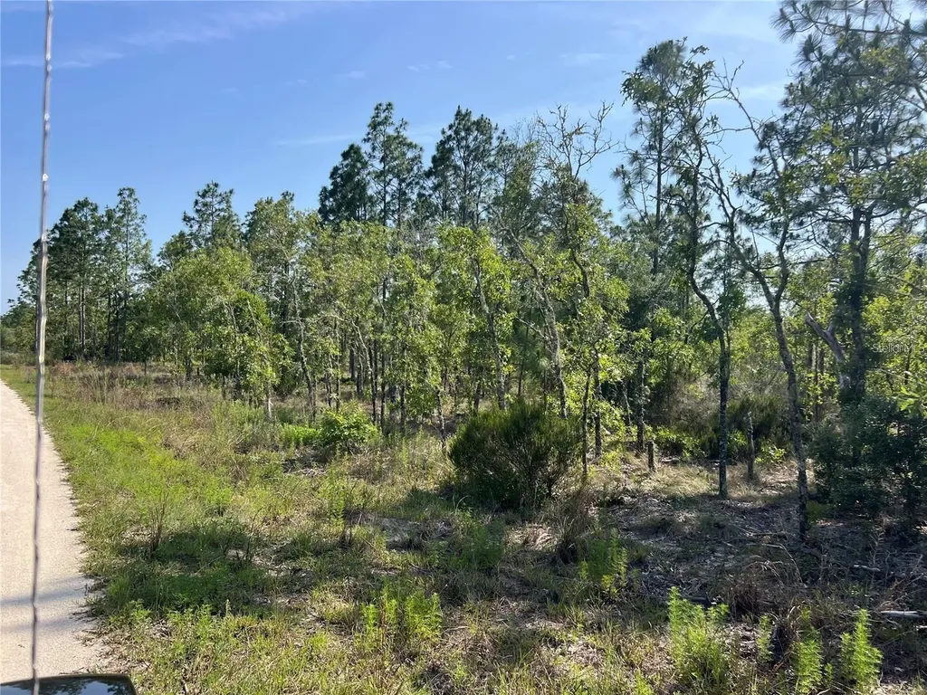 NE 151st Avenue Williston FL 32696