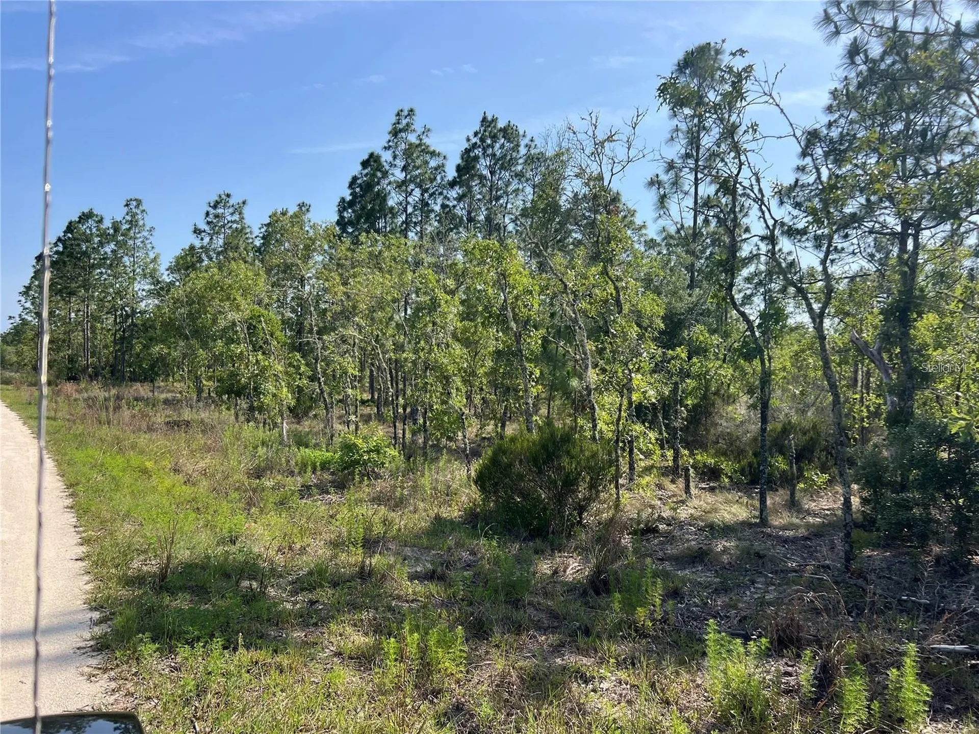 NE 151st Avenue Williston FL 32696