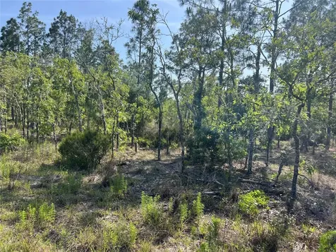 NE 151st Avenue Williston FL 32696