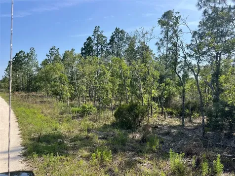 NE 151st Avenue Williston FL 32696