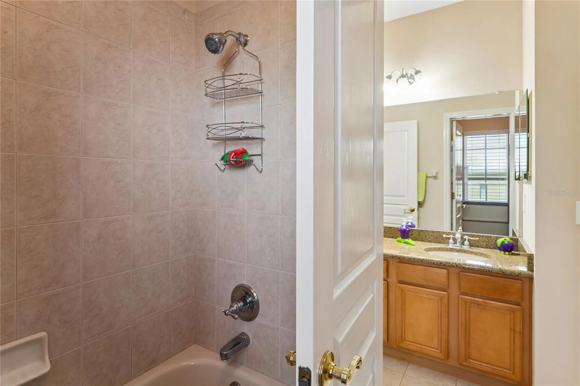 5714 Sea Trout Place Apollo Beach FL 33572