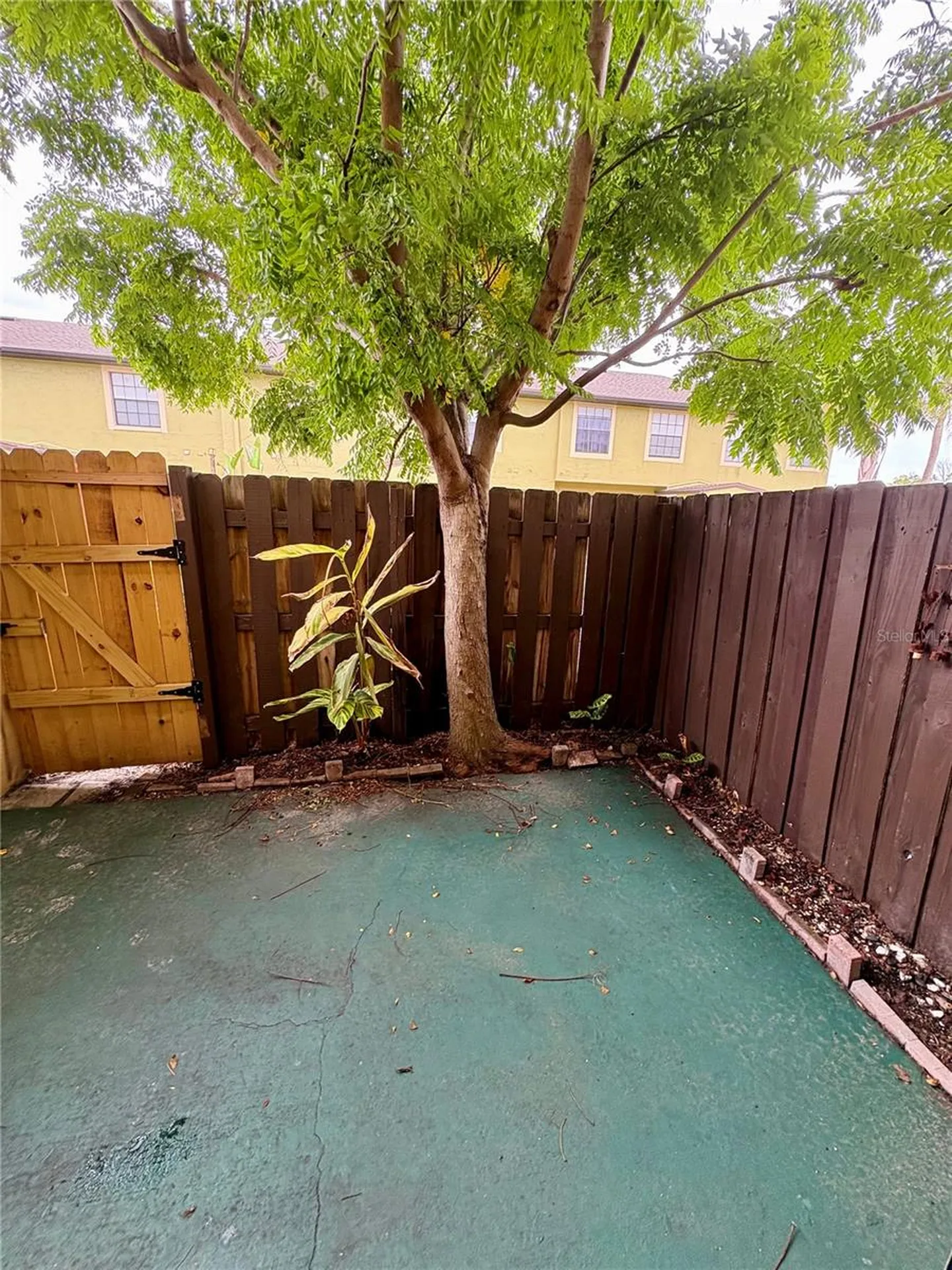 3243 Forest Oaks Court Winter Park FL 32792