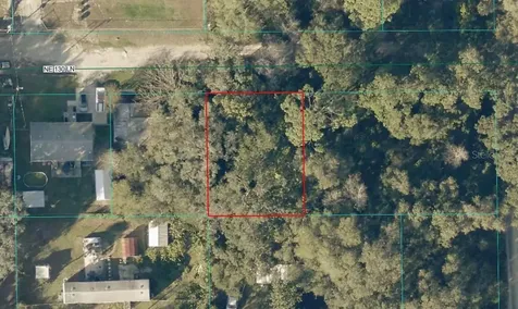 TBD LOT 34 NE 130th Lane Salt Springs FL 32134
