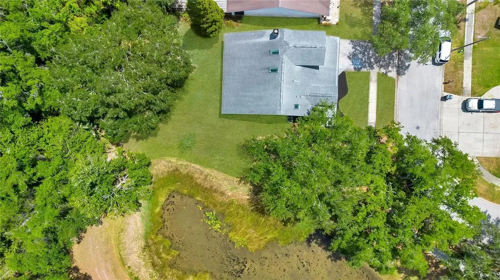 11230 Elmfield Drive Tampa FL 33625