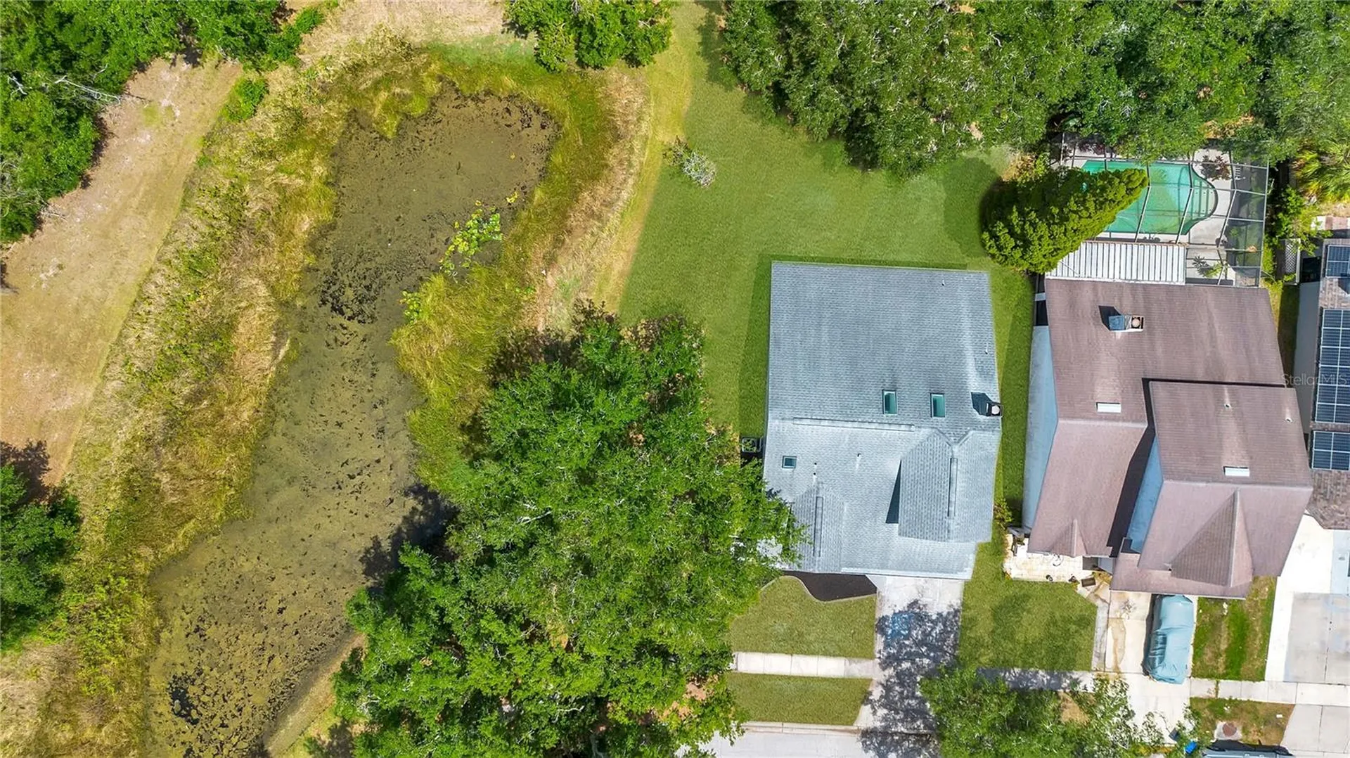 11230 Elmfield Drive Tampa FL 33625