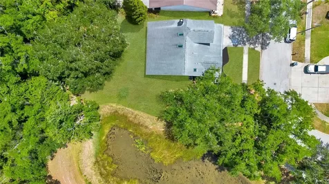 11230 Elmfield Drive Tampa FL 33625