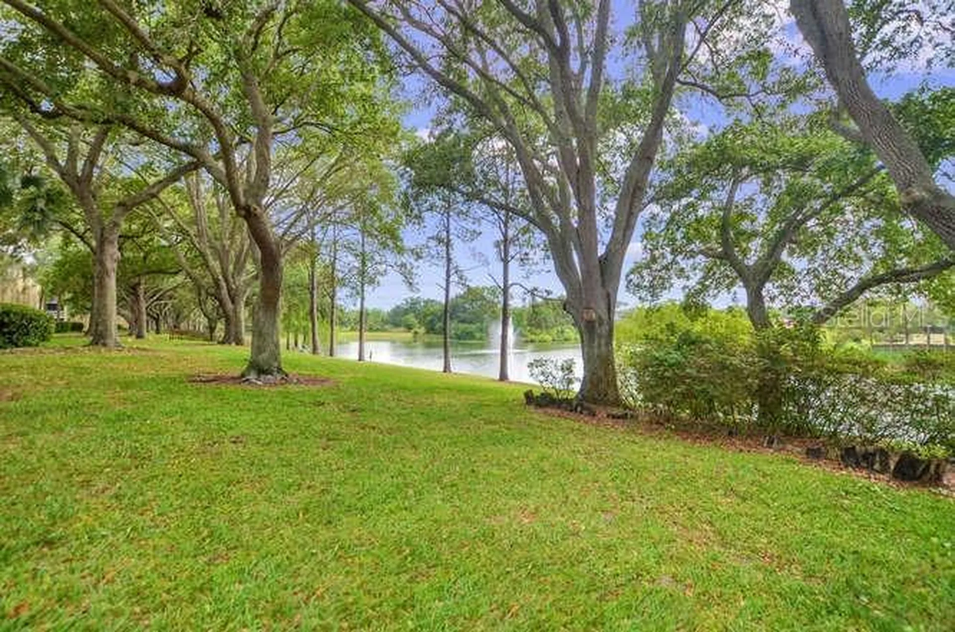 2690 Coral Landings Boulevard Palm Harbor FL 34684