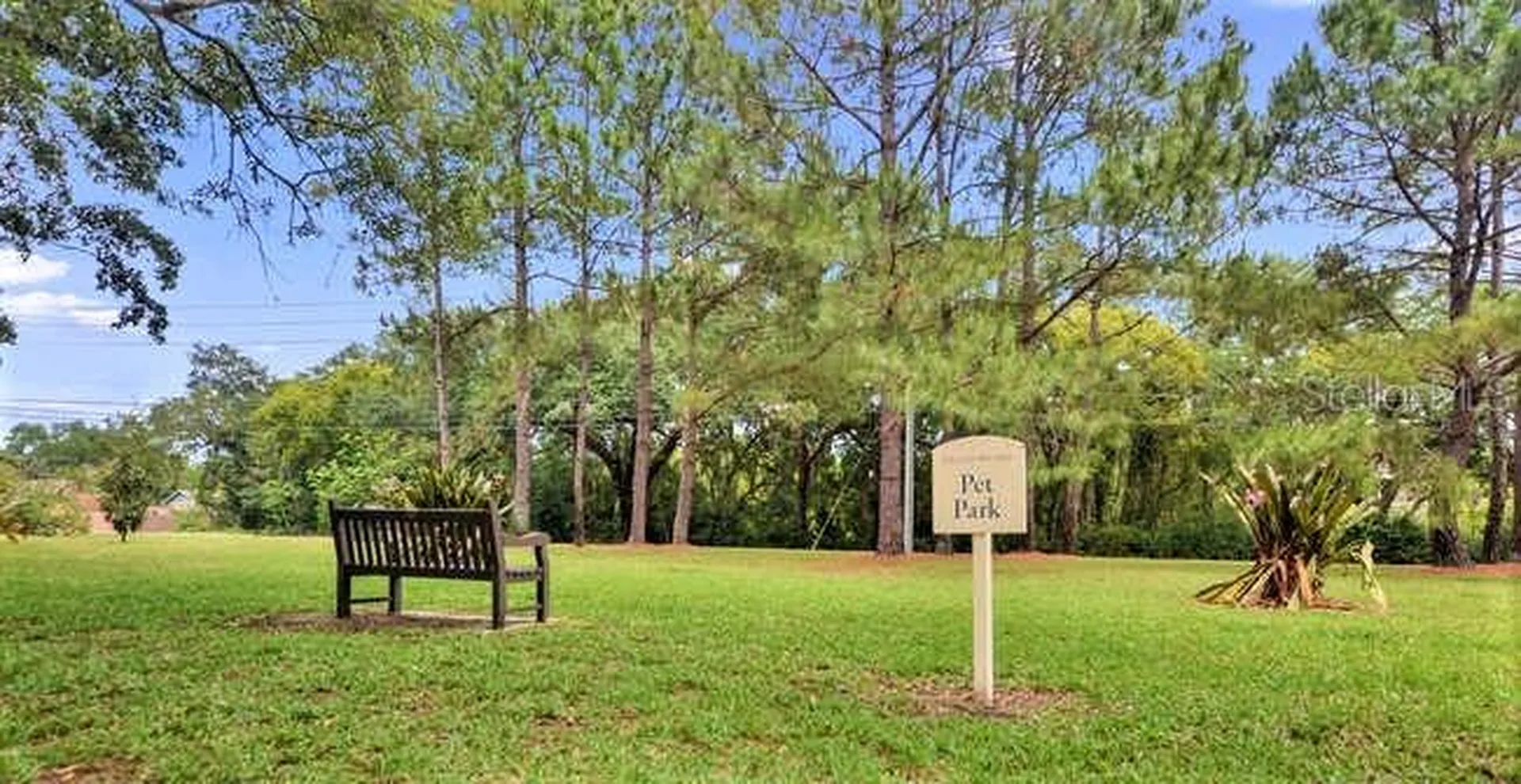 2690 Coral Landings Boulevard Palm Harbor FL 34684