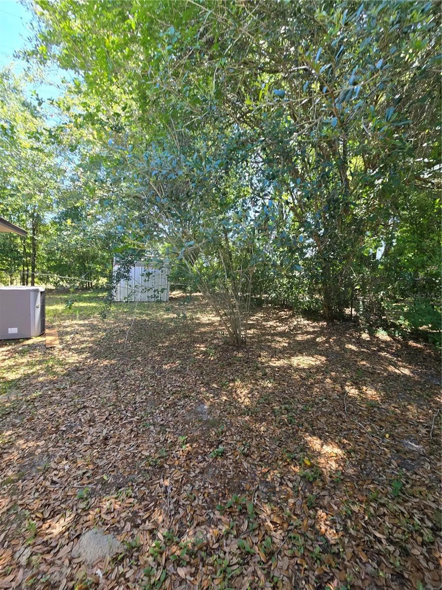 2900 NE 49th Street Ocala FL 34479