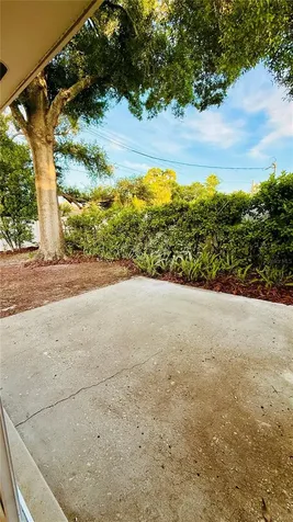 6409 Rosewood Drive Tampa FL 33615