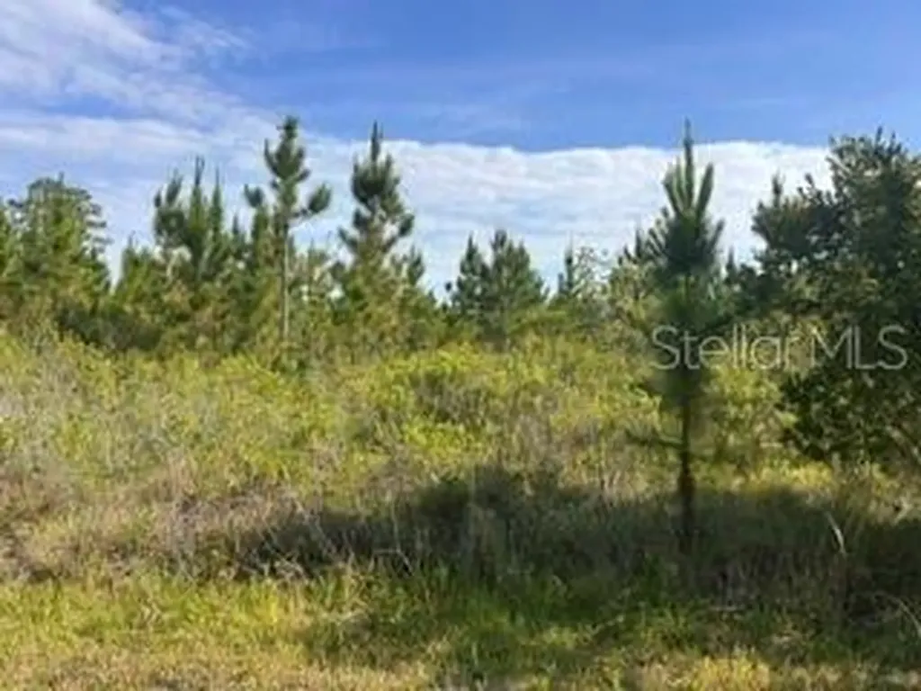118 (BLK 356 Lot 9) Tropicana Drive Indian Lake Estates FL 33855