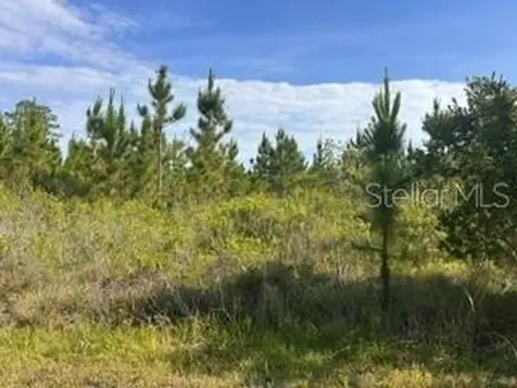118 (BLK 356 LOT 9) Tropicana Drive Indian Lake Estates FL 33855