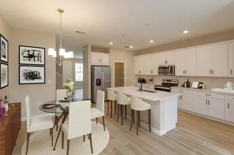 13299 Peaceful Melody Drive Winter Garden FL 34787