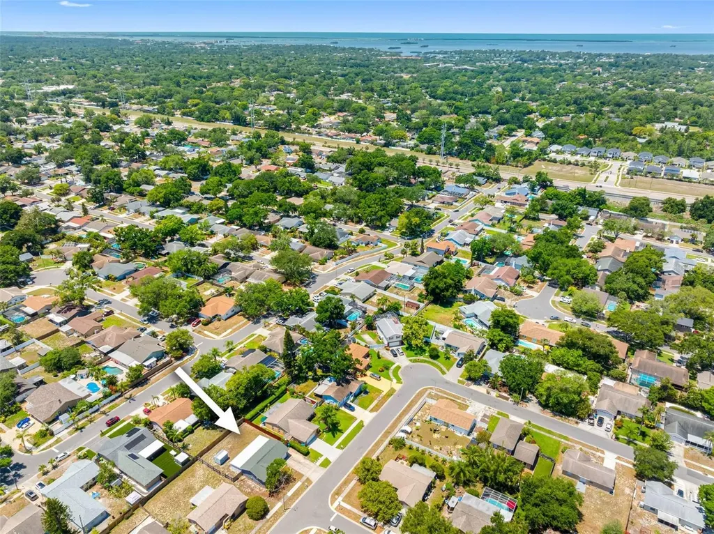 2334 Knoll Avenue S Palm Harbor FL 34683