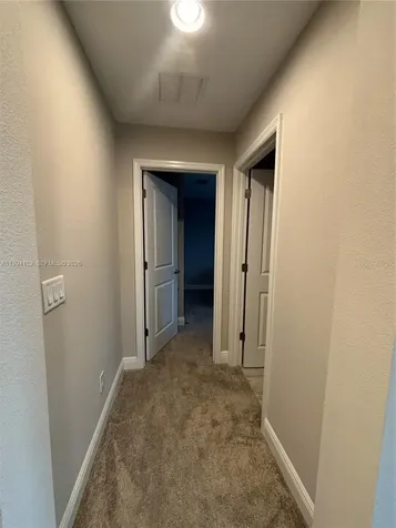 9173 Warm Springs Circle Parrish FL 34219