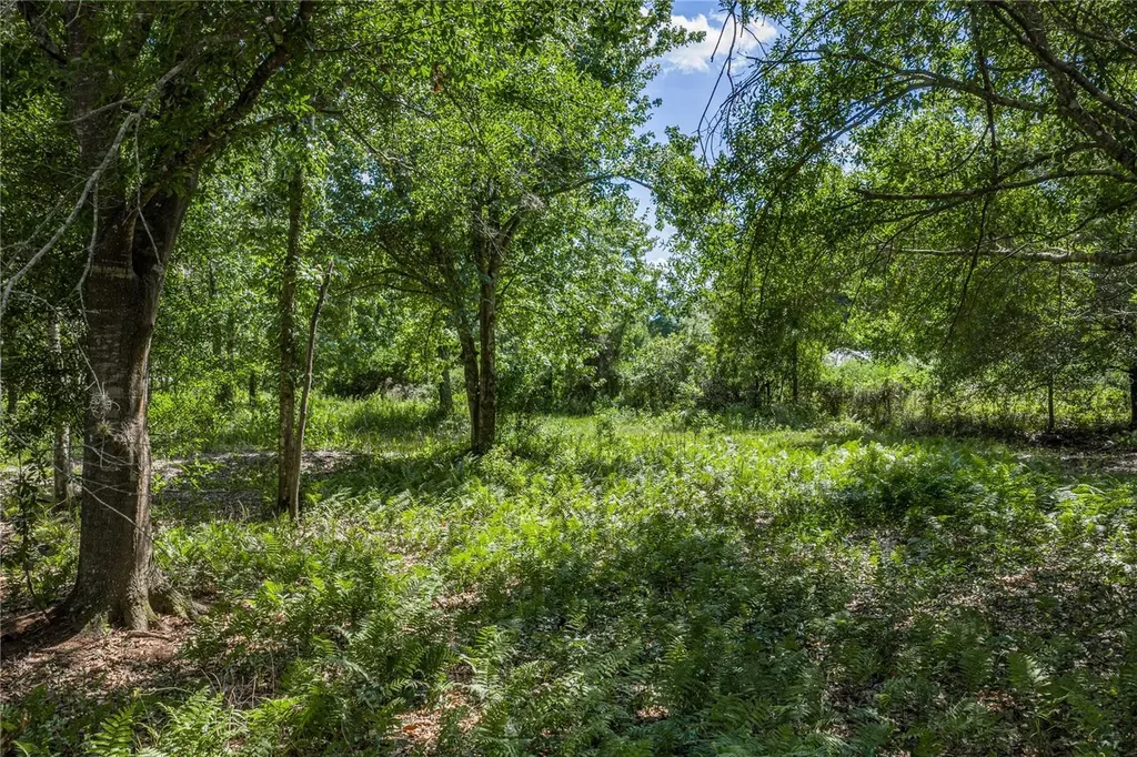 42655 State Road 64 E Myakka City FL 34251
