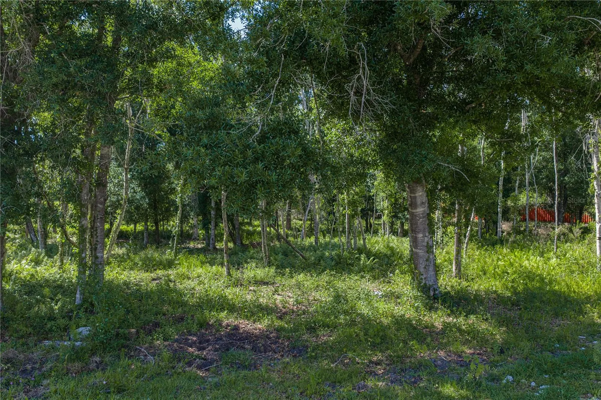 42655 State Road 64 E Myakka City FL 34251