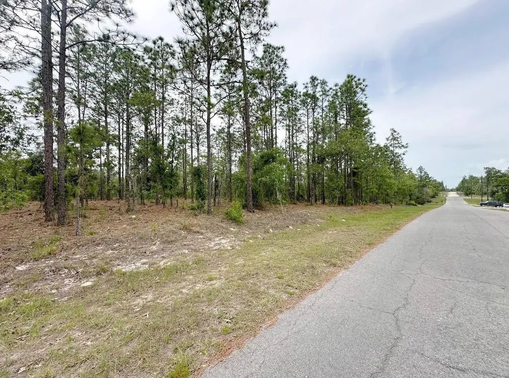 Tbd NE 150th, Lot 10 Avenue Williston FL 32696