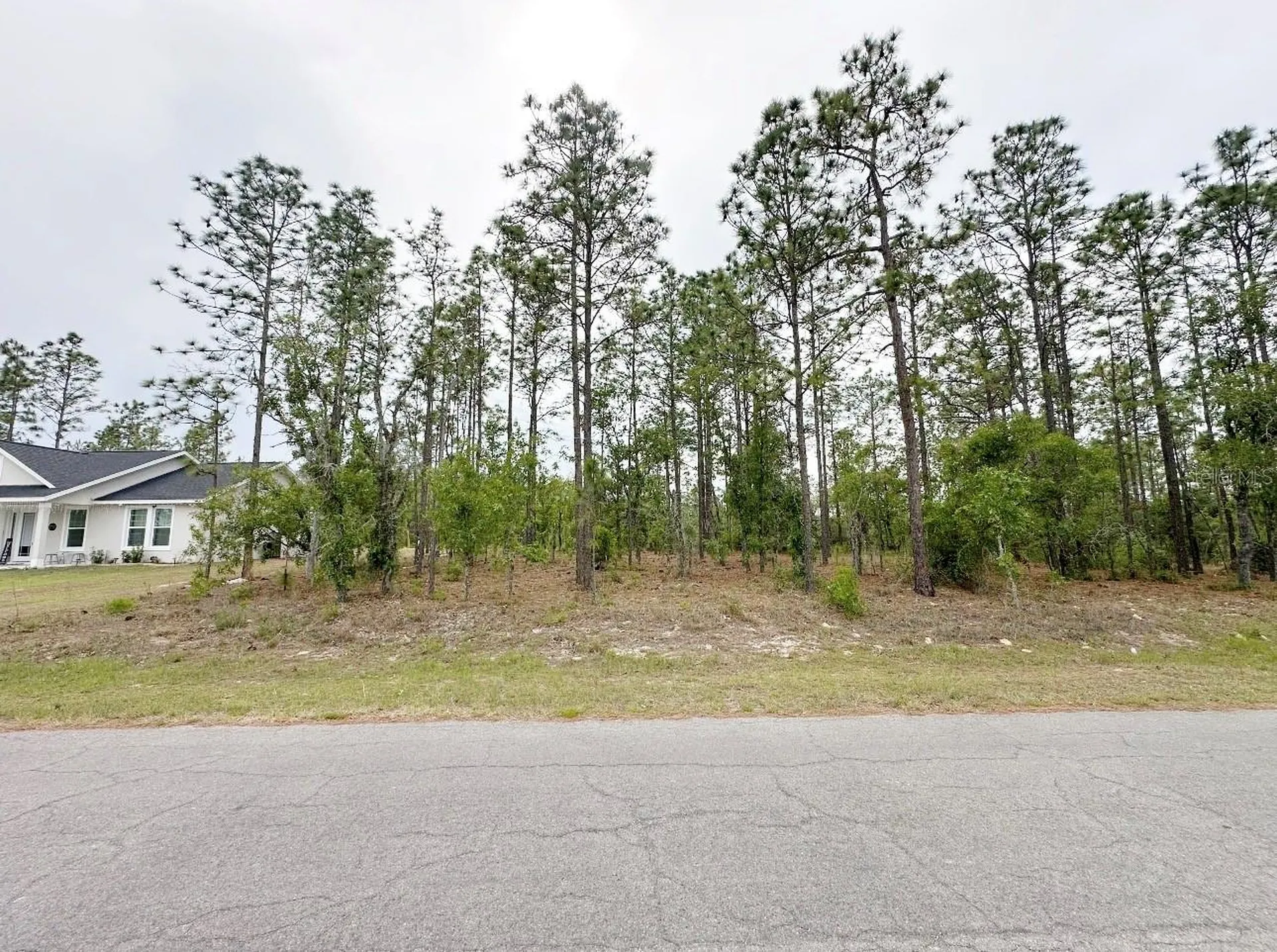 Tbd NE 150th, Lot 10 Avenue Williston FL 32696