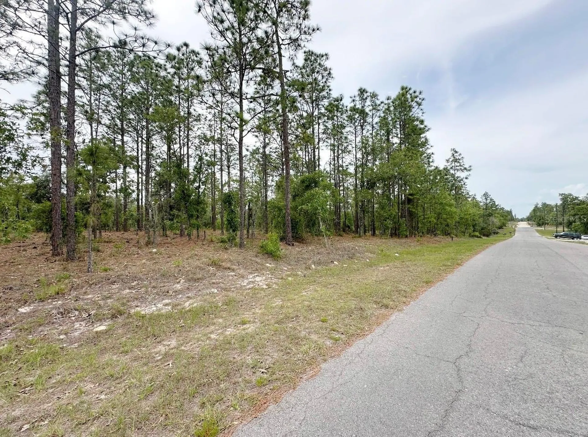 Tbd NE 150th, Lot 10 Avenue Williston FL 32696