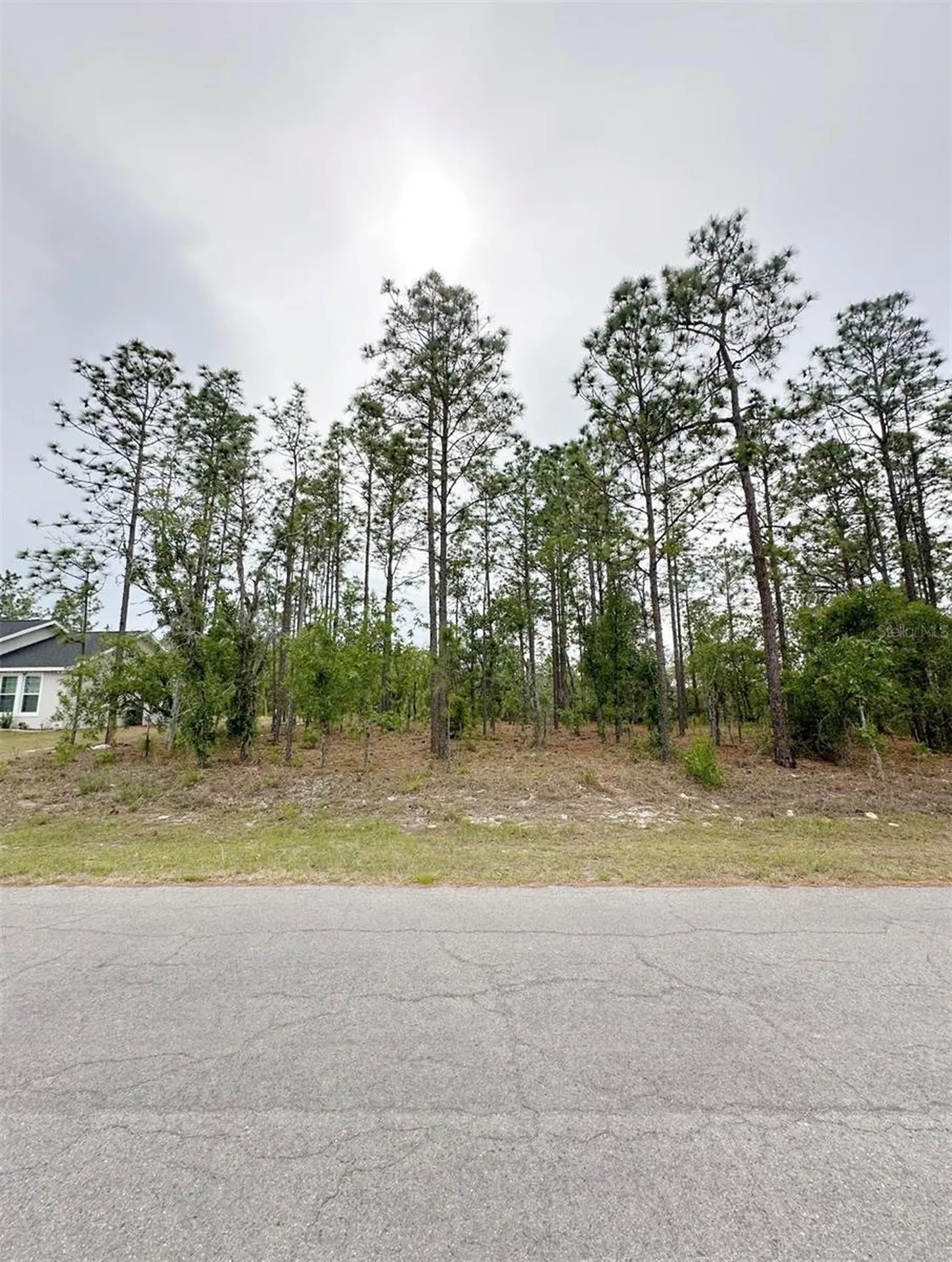 Tbd NE 150th, Lot 10 Avenue Williston FL 32696