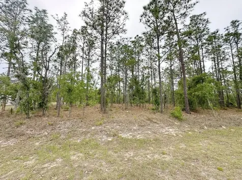 Tbd NE 150th, Lot 10 Avenue Williston FL 32696