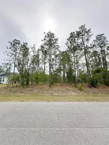 Tbd NE 150th, Lot 10 Avenue Williston FL 32696