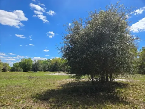 NW 70 Highway NW Arcadia FL 34266